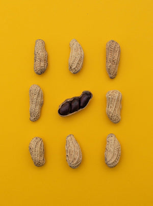 
                  
                    Black King Kong Peanuts - Basis Nuts
                  
                