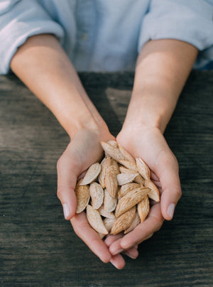 
                  
                    Raw satarbai almonds - Basis Nuts
                  
                