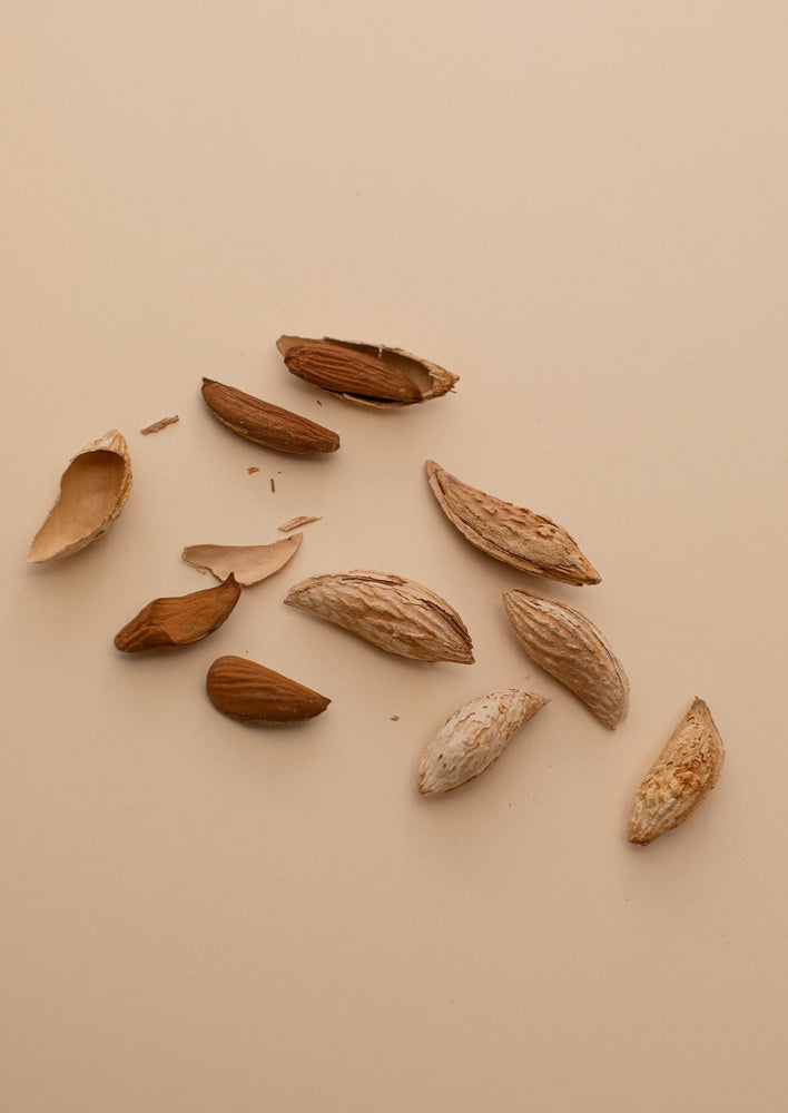 
                  
                    Raw satarbai almonds - Basis Nuts
                  
                