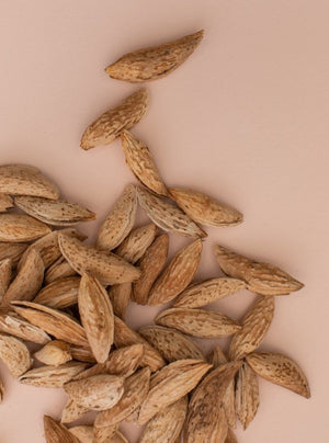 
                  
                    Roasted satarbai almonds - Basis Nuts
                  
                
