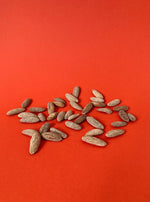Roasted satarbai almonds from Afghanistan, shelled - Basis Nuts
